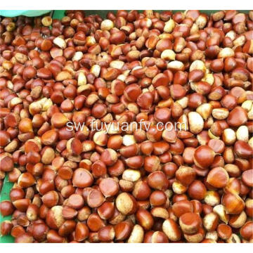 Kichina chestnut matunda Dandong aina ya chestnuts